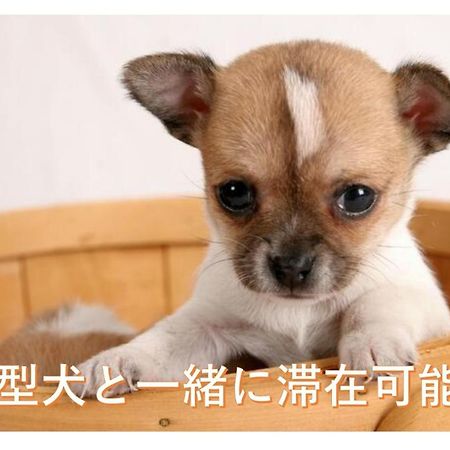 Ferienwohnung 観光や仕事に便利ｻｰﾋﾞｽｱﾊﾟｰﾄﾒﾝﾄ札幌さくら2-2小型犬滞在可能 Toyohira Exterior foto